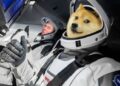 Doge dog with elon musk a design of manipulated image of them going to moon