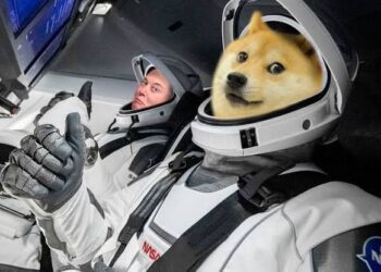 Doge dog with elon musk a design of manipulated image of them going to moon