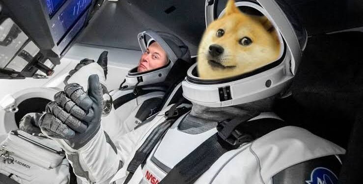 Doge dog with elon musk a design of manipulated image of them going to moon