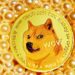 A photo of DogeCoin with golden pearls